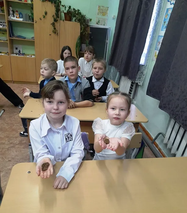 IMG-38078512aa2c8cbb9513baf96be9180f-V