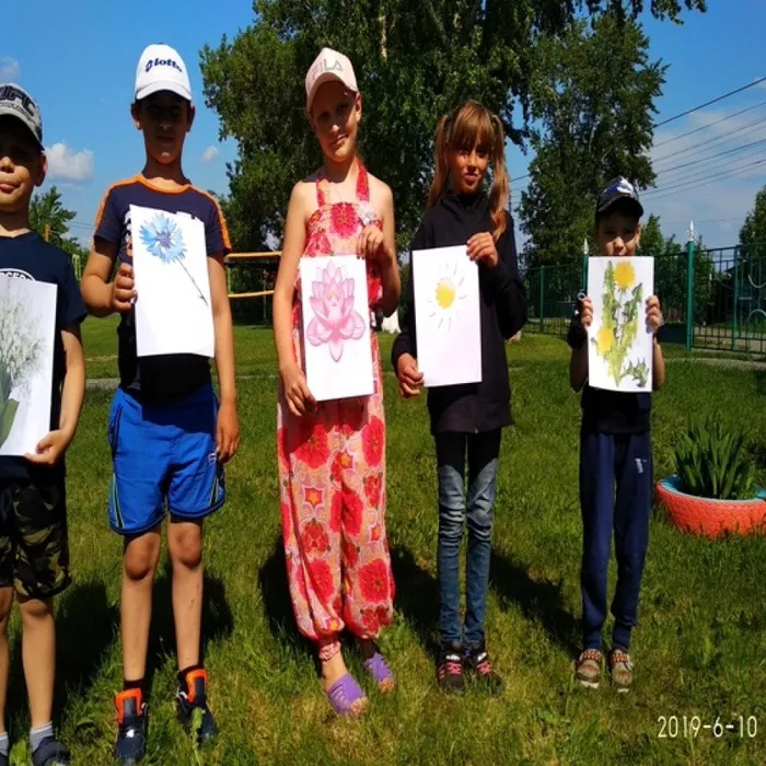 Здравствуй, лес